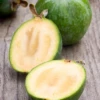 Pineapple Guava (Feijoa Sellowiana) -Exotic Fruit & Spice Garden Shop Feijoa sellowiana pineapple guava sow exotic rare tropical fruit tree 2