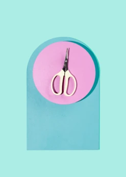 Exotic Fruit & Spice Garden Shop -Exotic Fruit & Spice Garden Shop Sow Exotic Plant Nursery garden tools grape pruners shears 2