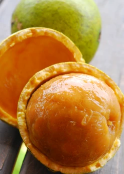 Monkey Orange (Strychnos Spinosa)