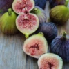 Fig 'Violete De Bordeaux' (Ficus Carica) 2 Fig 'Violete De Bordeaux' (Ficus Carica) -Exotic Fruit & Spice Garden Shop ViolettedeBordeauxFigPlantforSale SowExotic.com