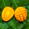 Mango 'Angie' (Mangifera Indica) -Exotic Fruit & Spice Garden Shop angiemango
