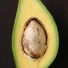 Avocado 'Catalina' (Persia Americana) -Exotic Fruit & Spice Garden Shop catalinaavocadofruittreeforsalesowexotic