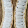 Ice Cream Bean (Inga Edulis) 2 Ice Cream Bean (Inga Edulis) -Exotic Fruit & Spice Garden Shop icecreambeansowexotic 1