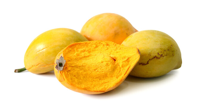 Exotic Fruit & Spice Garden Shop -Exotic Fruit & Spice Garden Shop 360 F 519749150 jf6aKaILIaT7J09lKCatwGQIqW8vScFD